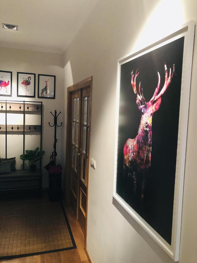 Apartamento Anova Padrón エクステリア 写真